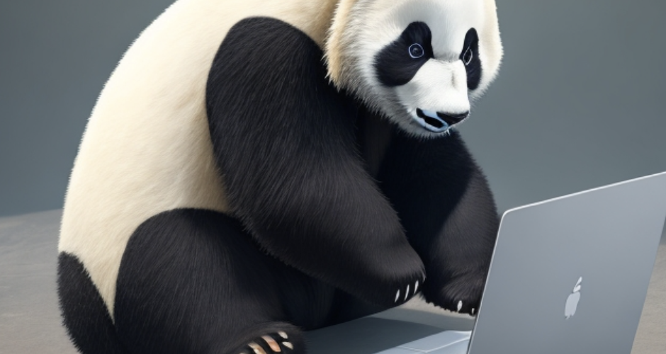 Panda on Laptop